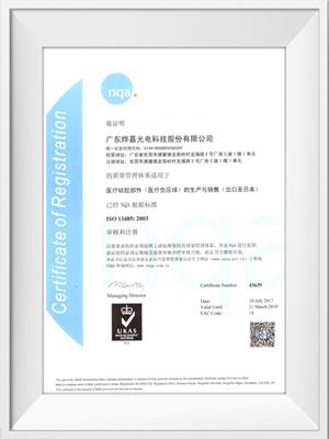 烨嘉光电ISO13485荣誉证书（中文）